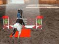 Equestrian 3D yo jwe sou entènèt